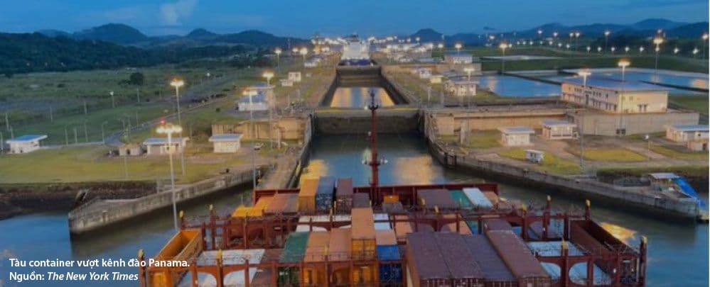 Viễn cảnh vận tải biển container 2024