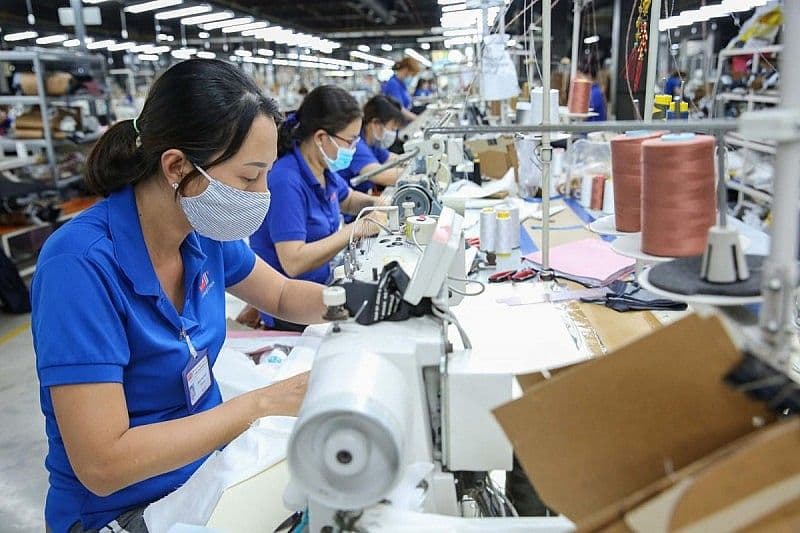 Đàm phán FTA Việt Nam – Mercosur: Động lực khai thác thị trường xuất khẩu khu vực Mỹ Latinh